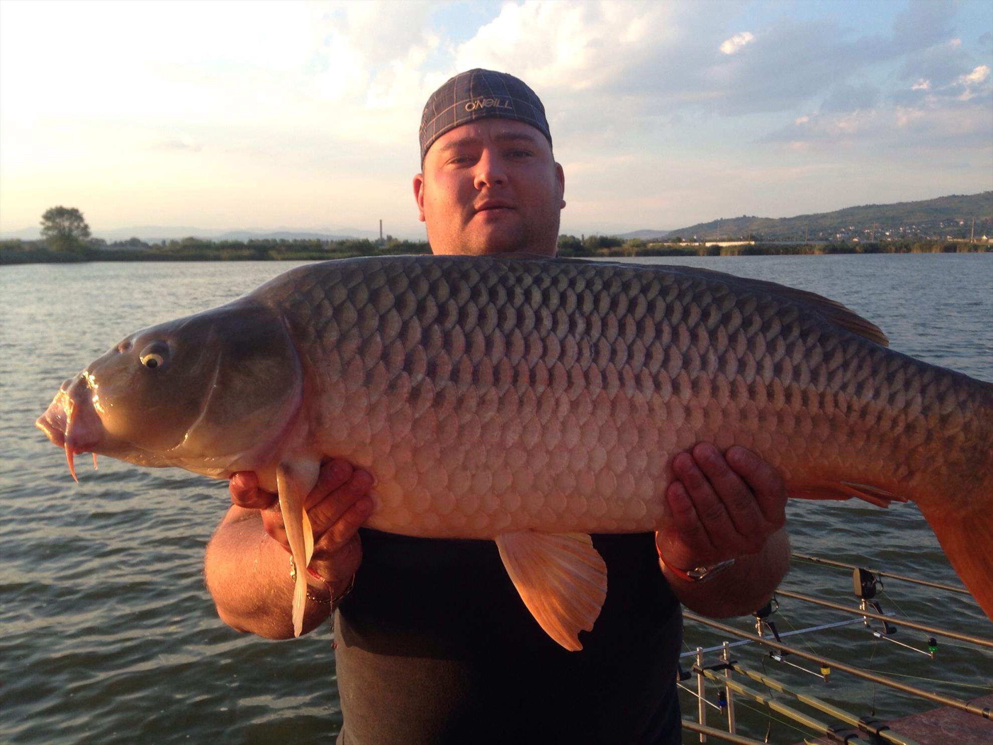 Pleasa 2013 - image1.jpg